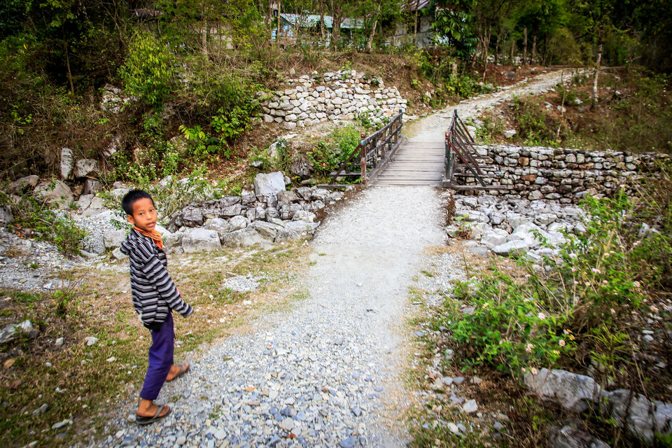 Photo of Dooars Trekking Diaries: The door to Himalayas by Ayan Das