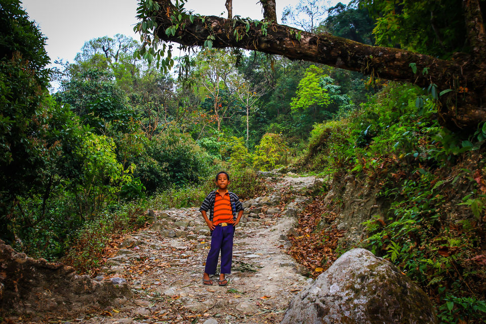 Photo of Dooars Trekking Diaries: The door to Himalayas by Ayan Das