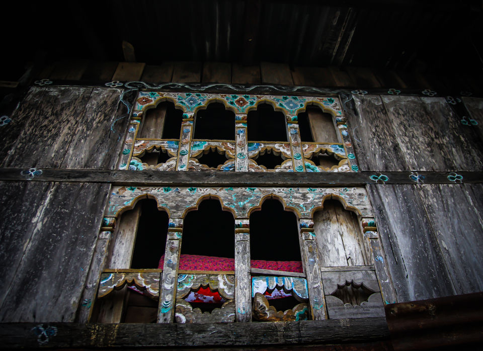 Photo of Dooars Trekking Diaries: The door to Himalayas by Ayan Das