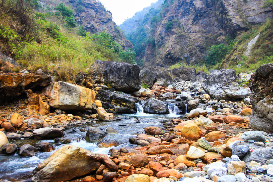 Photo of Dooars Trekking Diaries: The door to Himalayas by Ayan Das