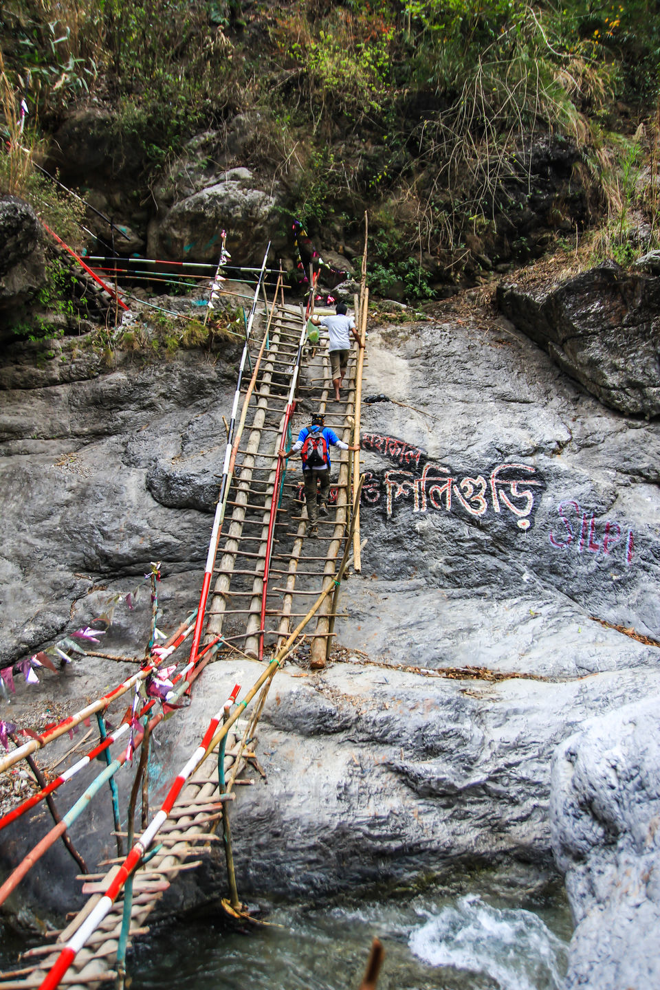 Photo of Dooars Trekking Diaries: The door to Himalayas by Ayan Das