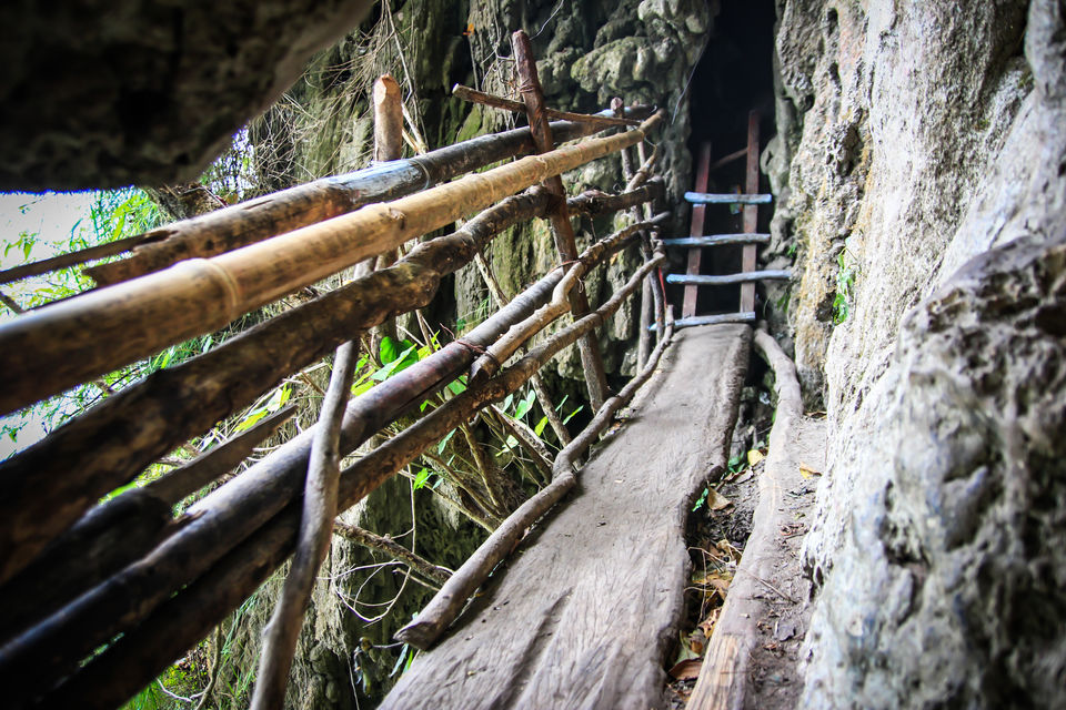 Photo of Dooars Trekking Diaries: The door to Himalayas by Ayan Das