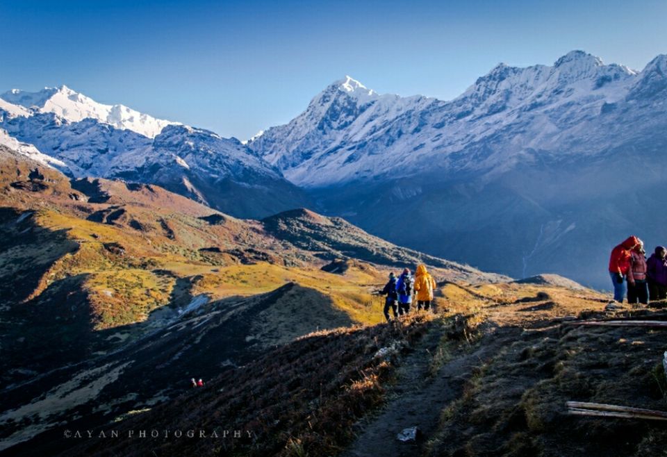 himalaya goechala trek