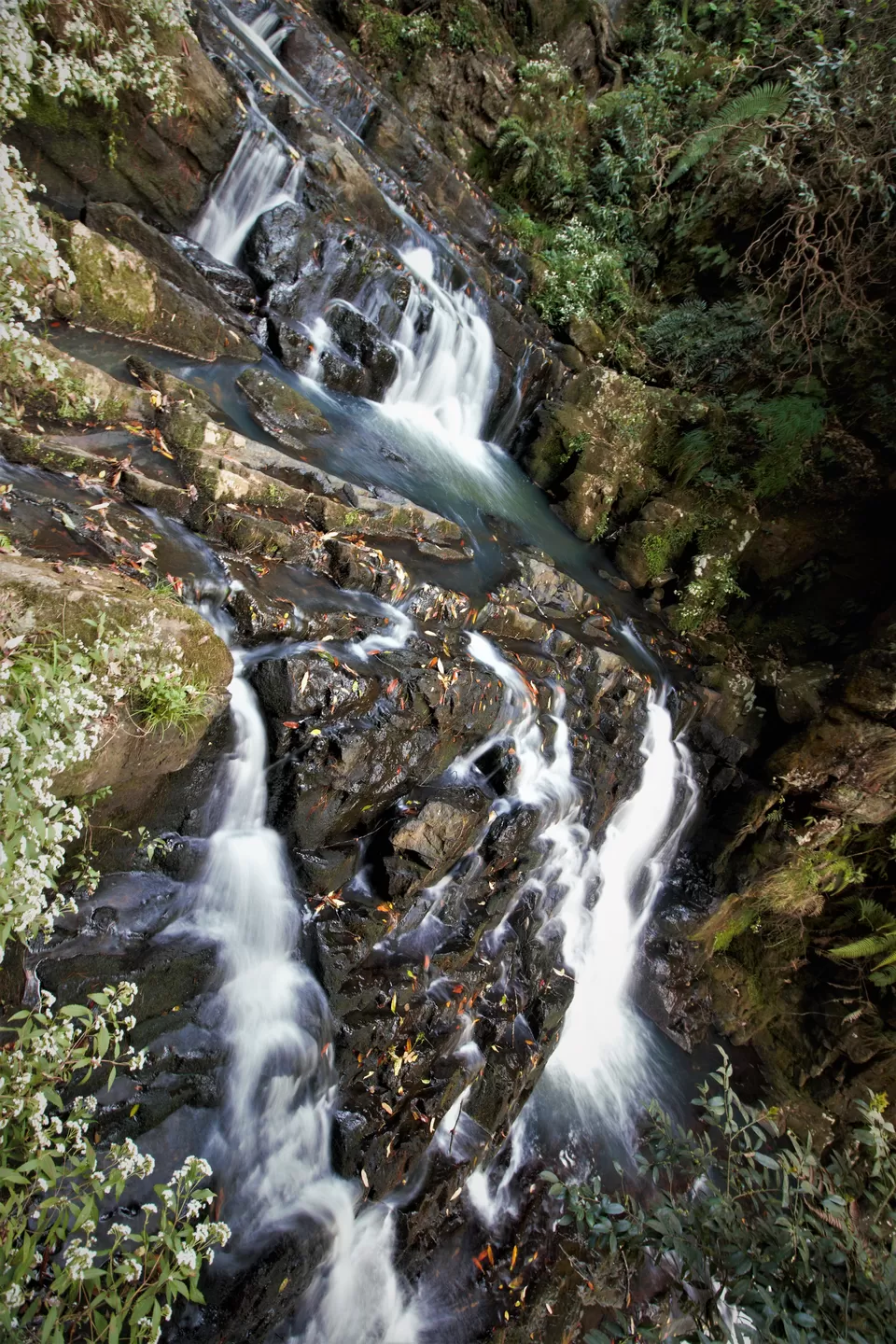Photo of Elephant Falls, Shillong, Meghalaya, India by Ayan Das