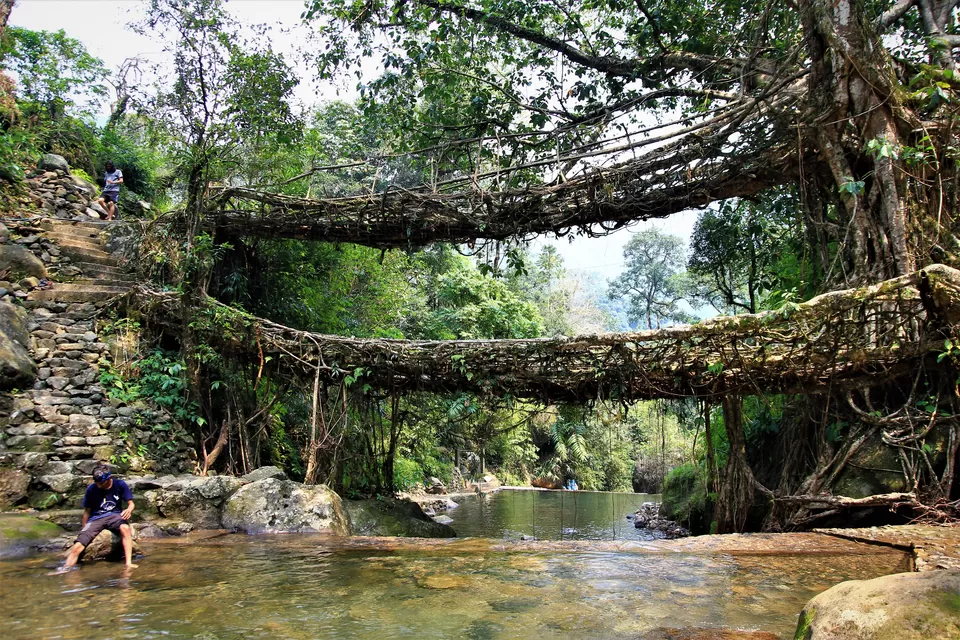 Photo of Nongriat, Meghalaya, India by Ayan Das