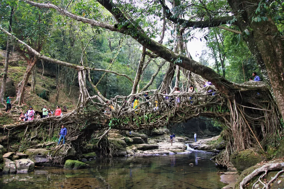 Photo of Mawlynnong, Meghalaya, India by Ayan Das