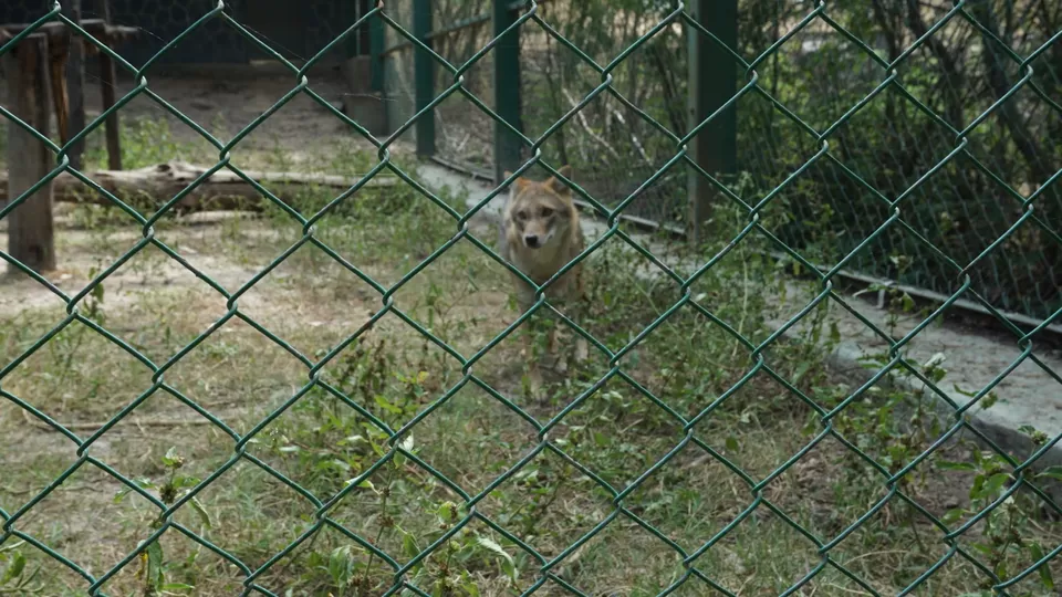 Photo of Accidental Rajkot Visit by Sarang Vyawahare