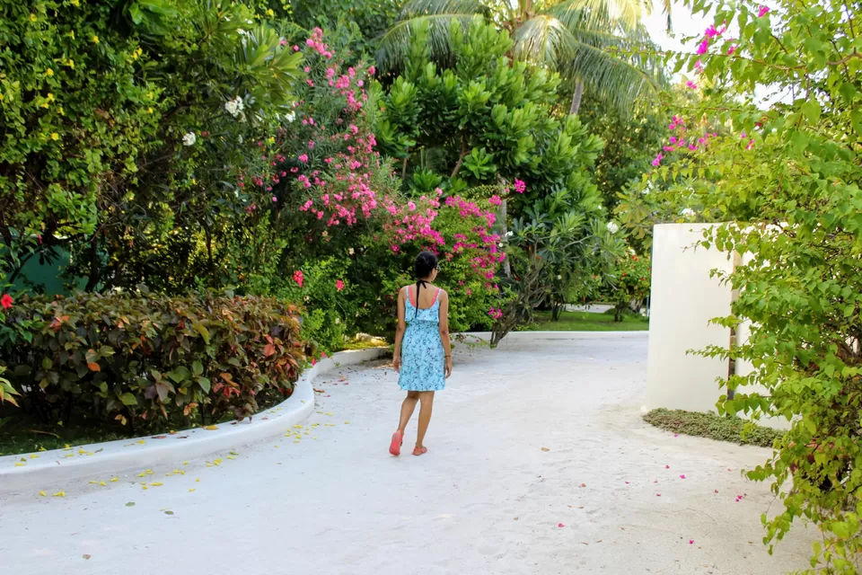 Photo of Mesmerizing Maldives by Rosalin Dash