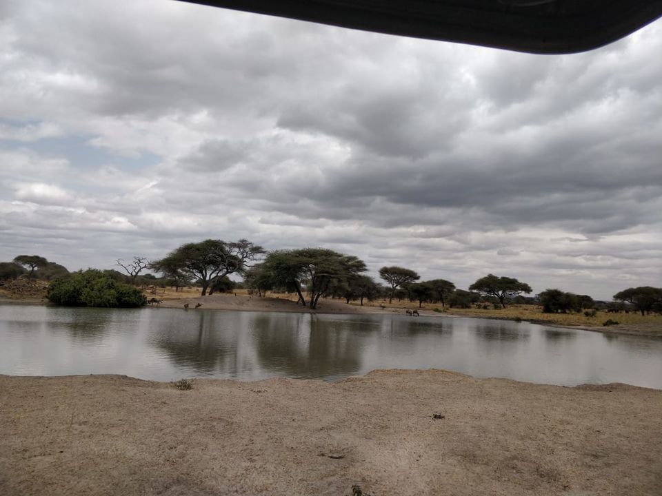 Photo of Arusha National Park, Tanzania by Aishwarya Rao