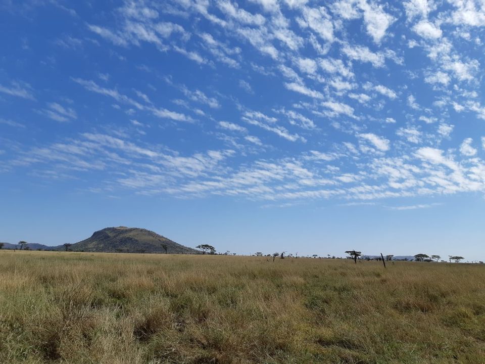 Photo of The Great African Safari #AdventuresinAfrica 14/23 by Aishwarya Rao