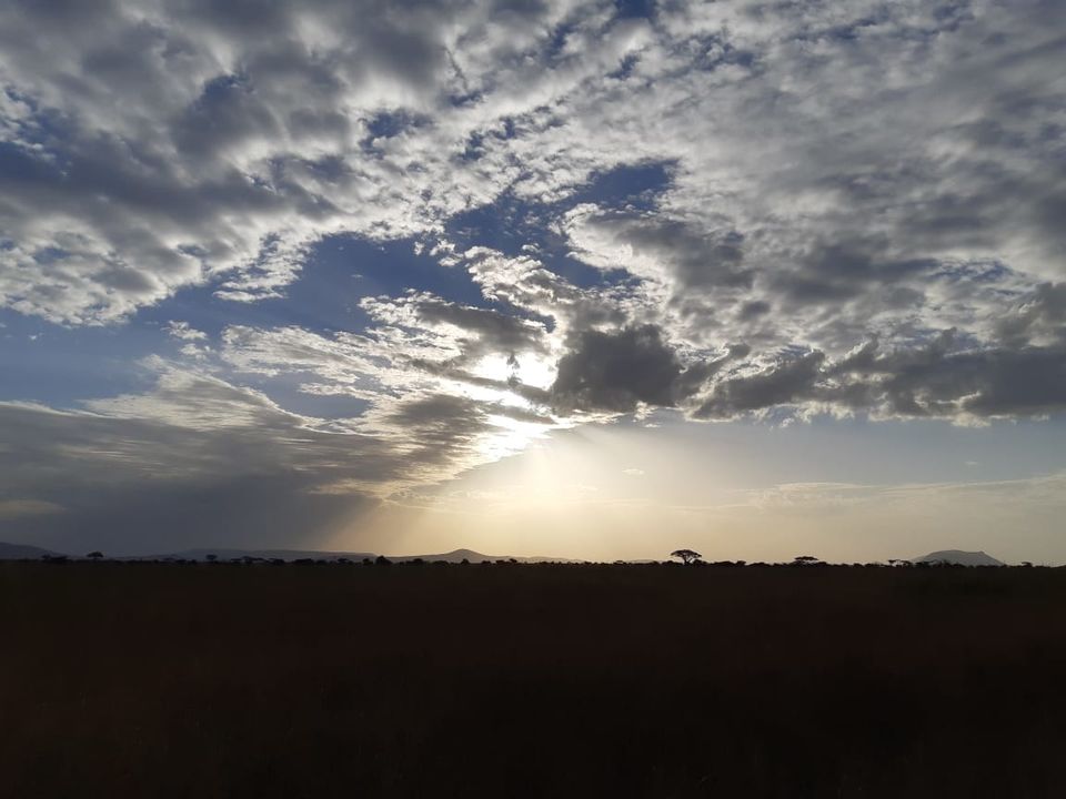 Photo of The Great African Safari #AdventuresinAfrica 15/23 by Aishwarya Rao