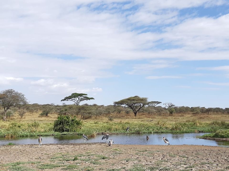 Photo of Lake Manyara, Tanzania by Aishwarya Rao
