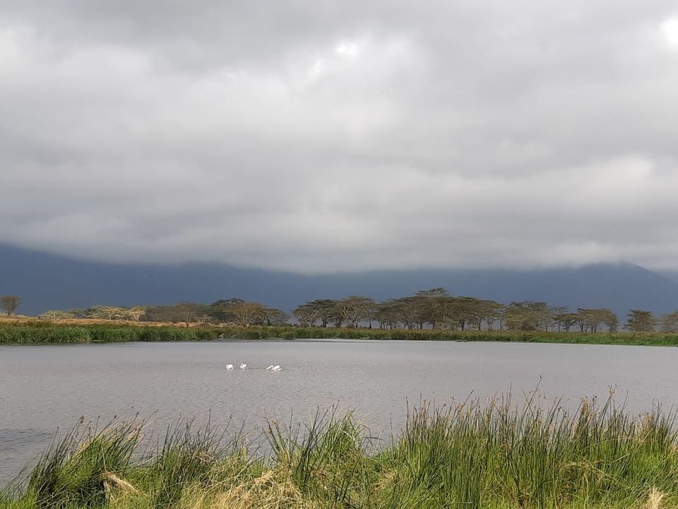 Photo of Lake Manyara, Tanzania by Aishwarya Rao