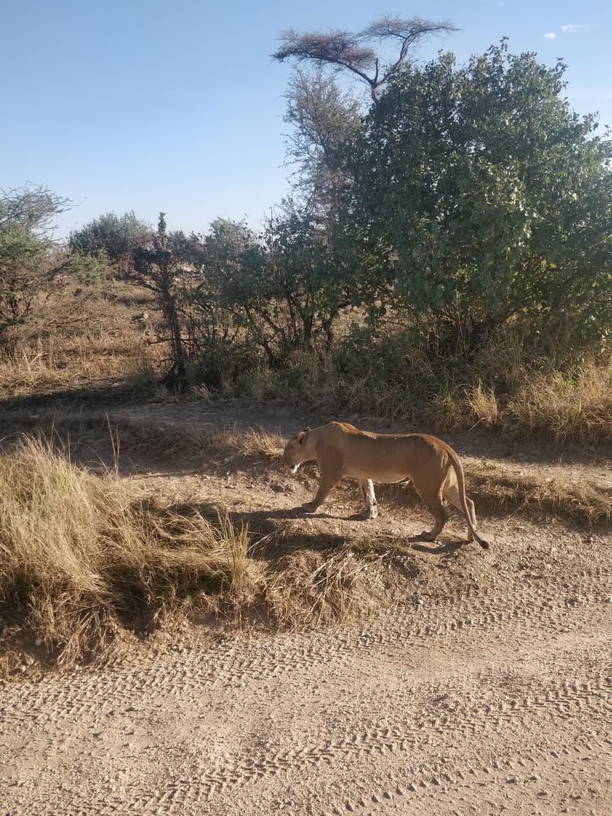 Photo of Serengeti National Park, Tanzania by Aishwarya Rao