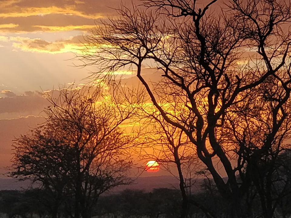 Photo of Serengeti National Park, Tanzania by Aishwarya Rao