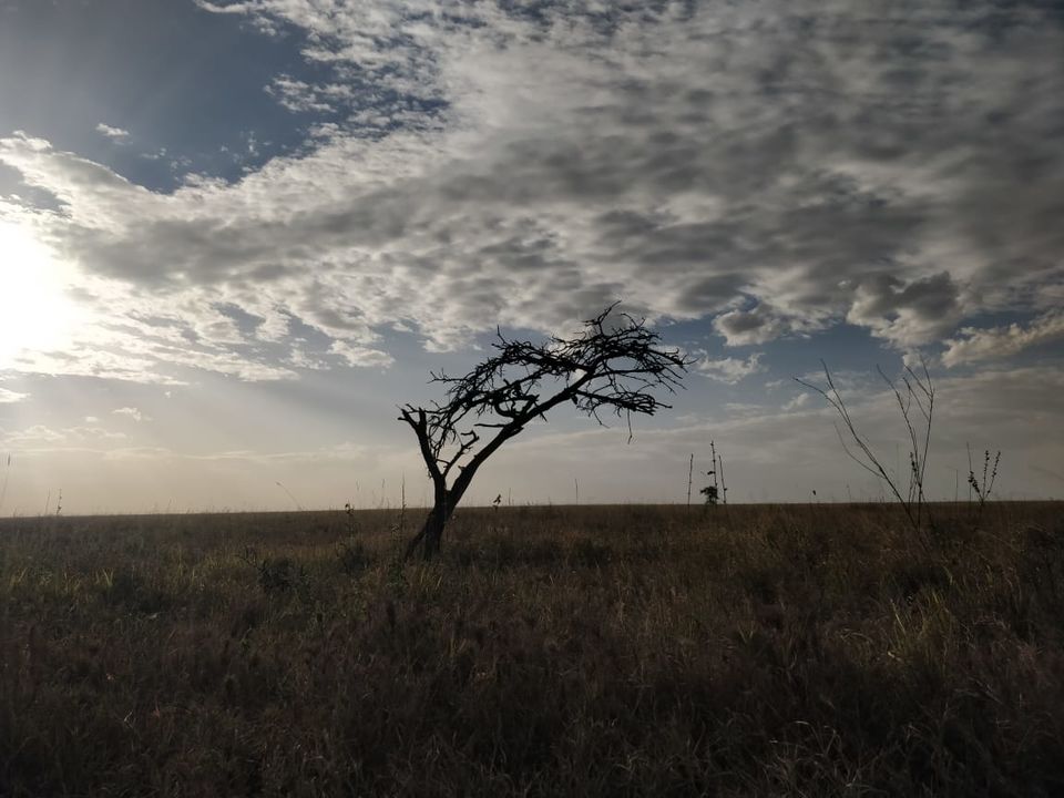 Photo of The Great African Safari #AdventuresinAfrica 16/23 by Aishwarya Rao