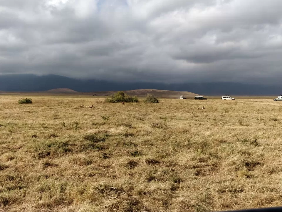 Photo of Serengeti National Park, Tanzania by Aishwarya Rao