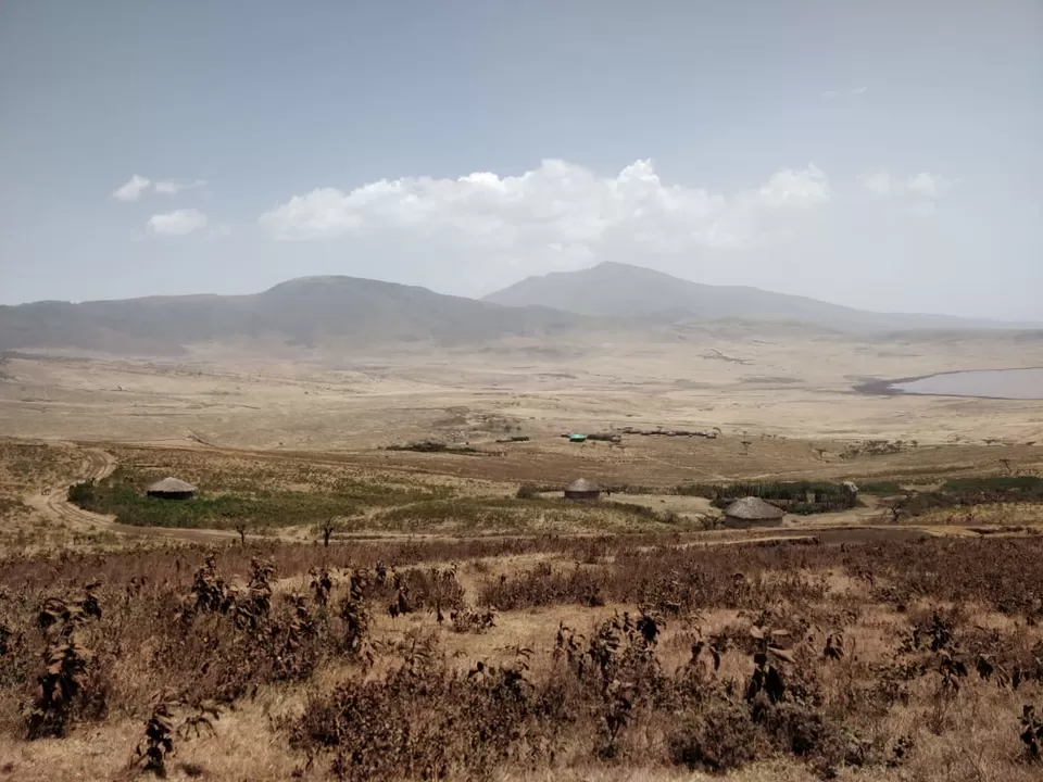 Photo of Serengeti National Park, Tanzania by Aishwarya Rao