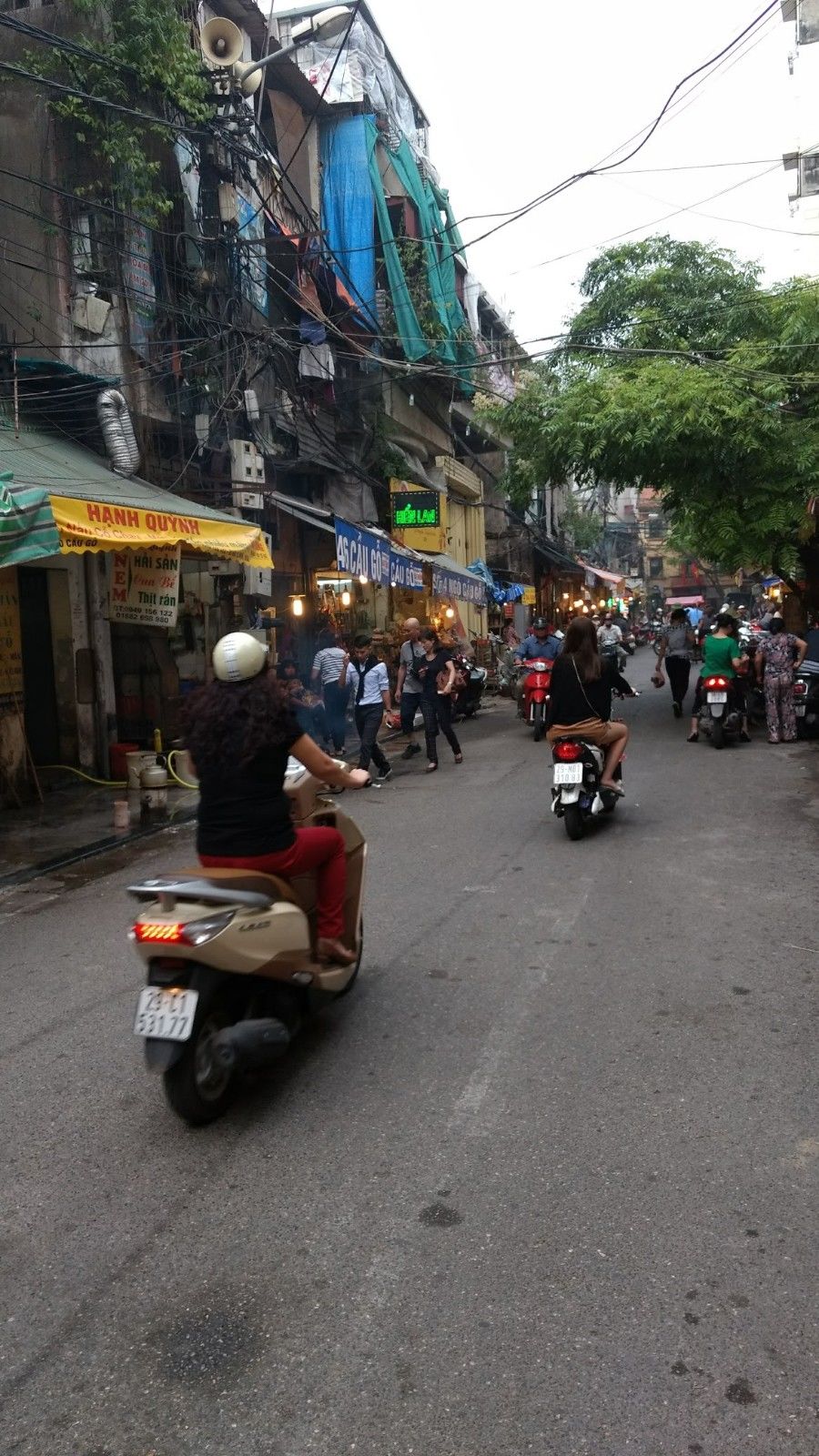 Photo of Exotic Vietnam 3/35 by Aishwarya Rao