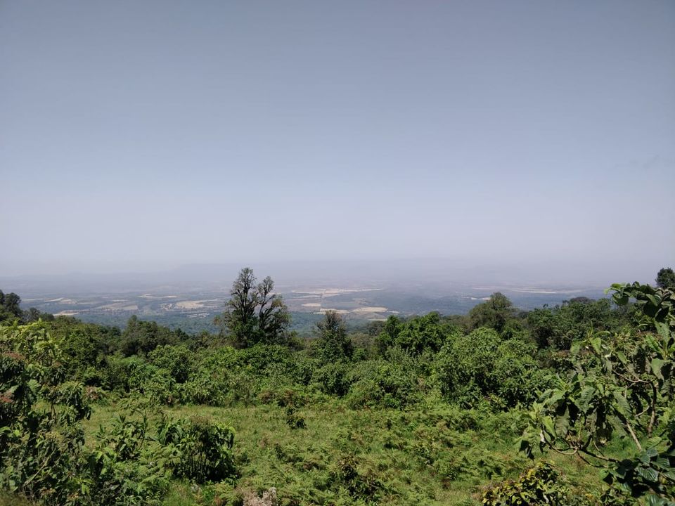 Photo of The Great African Safari by Aishwarya Rao