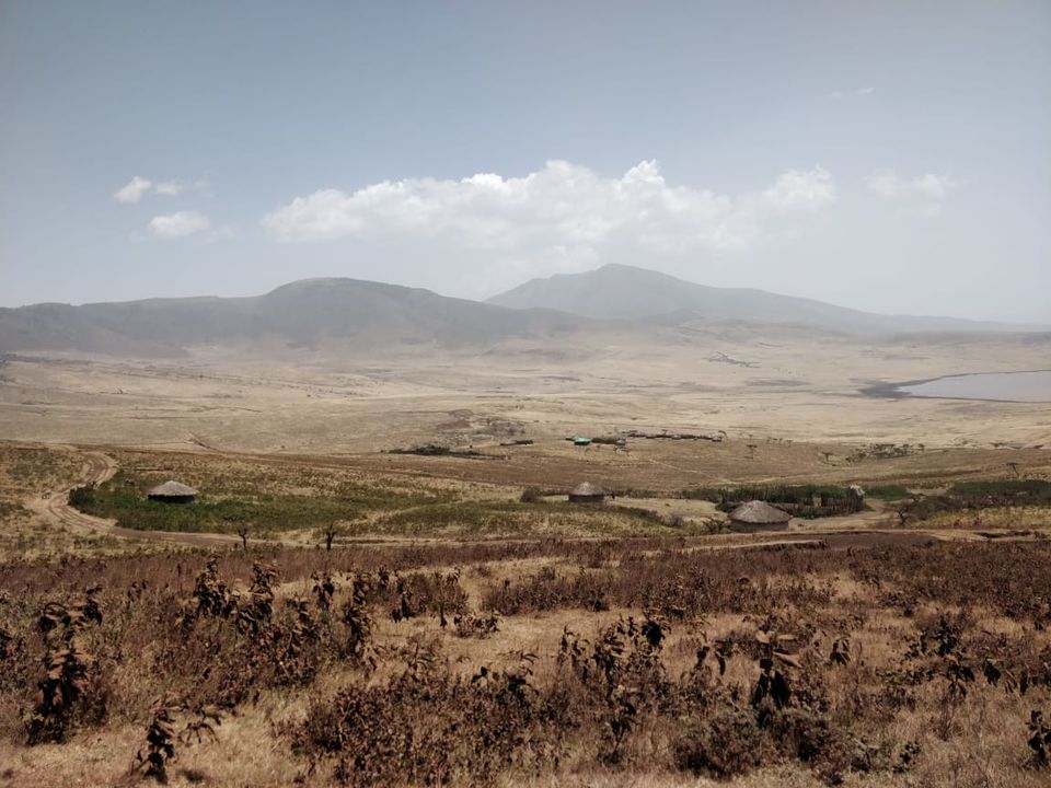 Photo of The Great African Safari by Aishwarya Rao
