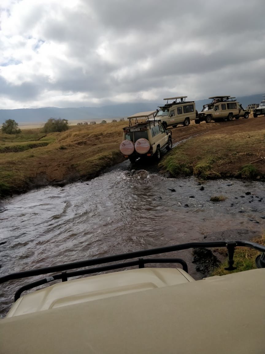 Photo of The Great African Safari by Aishwarya Rao
