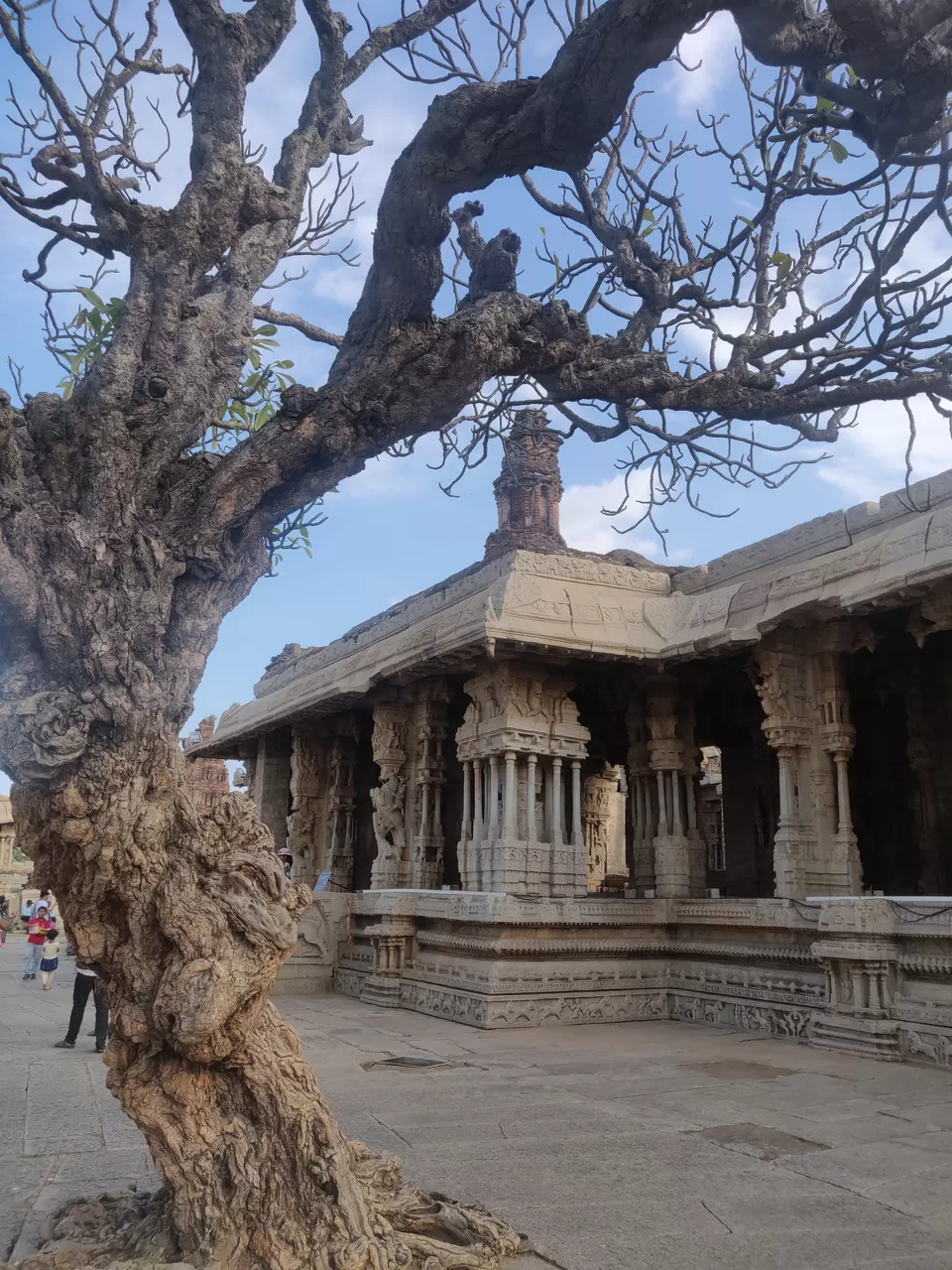 Photo of Musical pillars Mantapa, Village Road, Nimbapura, Karnataka, India by Aishwarya Rao