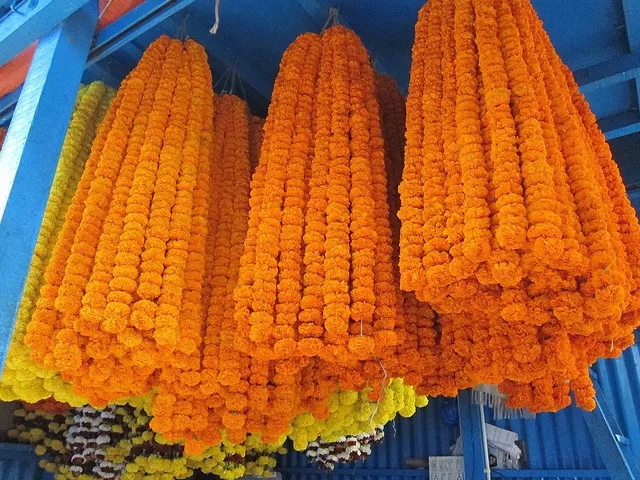 Photo of Mullick Ghat Flower Market Pumping Station, Kolkata, West Bengal, India by Madhu Das