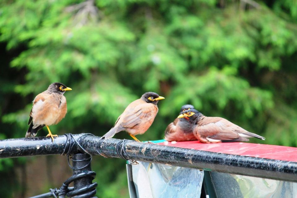 Photo of Kasauli – For that much needed peace of mind 5/93 by Rahul Shankhwar