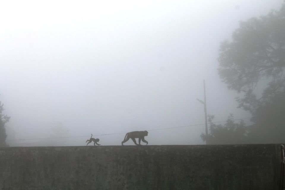 Photo of Kasauli – For that much needed peace of mind 8/93 by Rahul Shankhwar