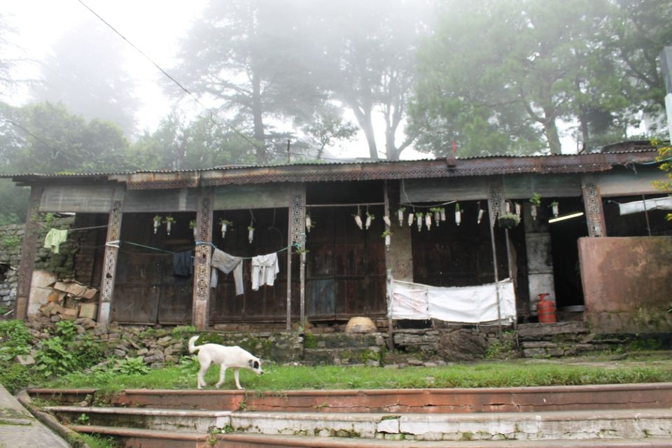 Photo of Kasauli – For that much needed peace of mind 11/93 by Rahul Shankhwar