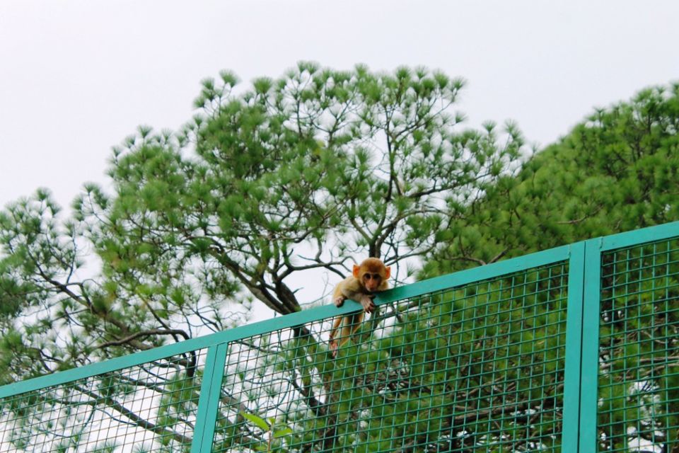 Photo of Kasauli – For that much needed peace of mind 17/93 by Rahul Shankhwar