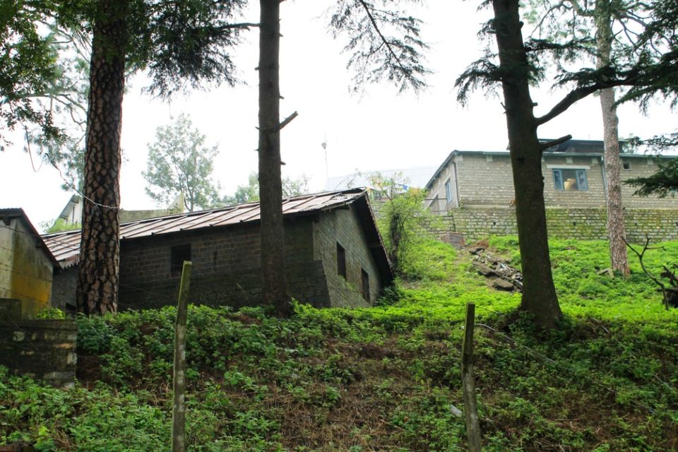 Photo of Kasauli – For that much needed peace of mind 24/93 by Rahul Shankhwar