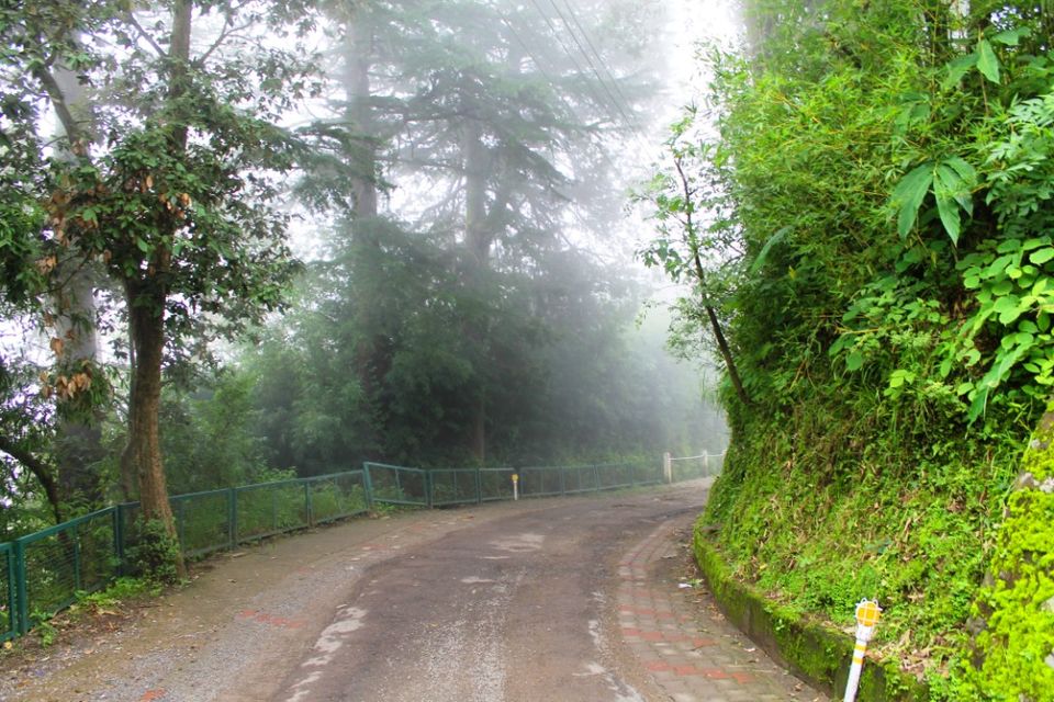 Photo of Kasauli – For that much needed peace of mind 30/93 by Rahul Shankhwar