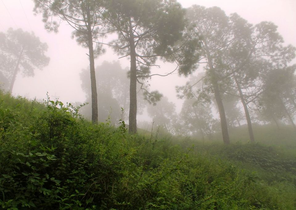 Photo of Kasauli – For that much needed peace of mind 31/93 by Rahul Shankhwar