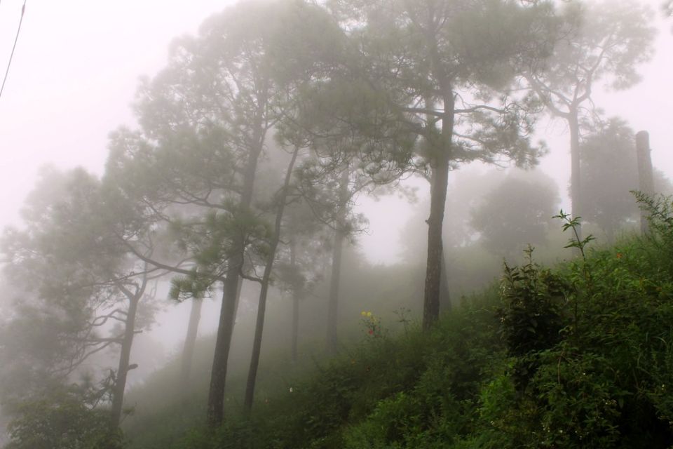 Photo of Kasauli – For that much needed peace of mind 33/93 by Rahul Shankhwar