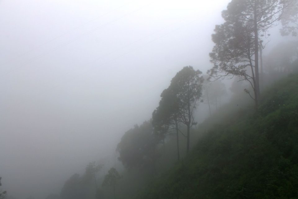 Photo of Kasauli – For that much needed peace of mind 35/93 by Rahul Shankhwar