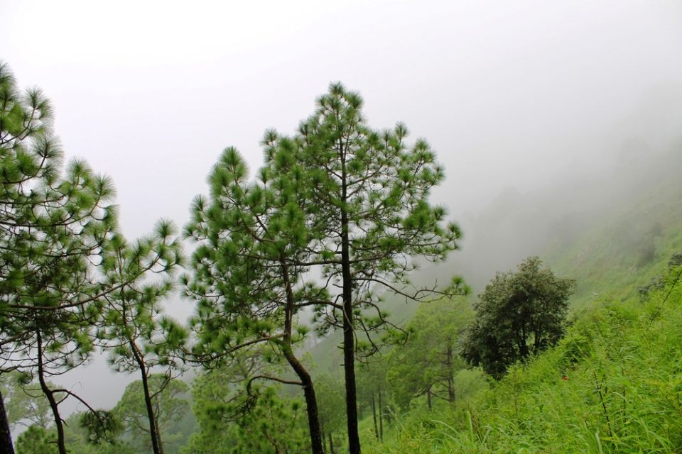 Photo of Kasauli – For that much needed peace of mind 38/93 by Rahul Shankhwar