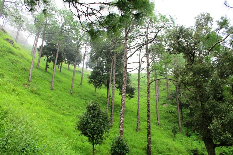 Photo of Kasauli – For that much needed peace of mind 40/93 by Rahul Shankhwar