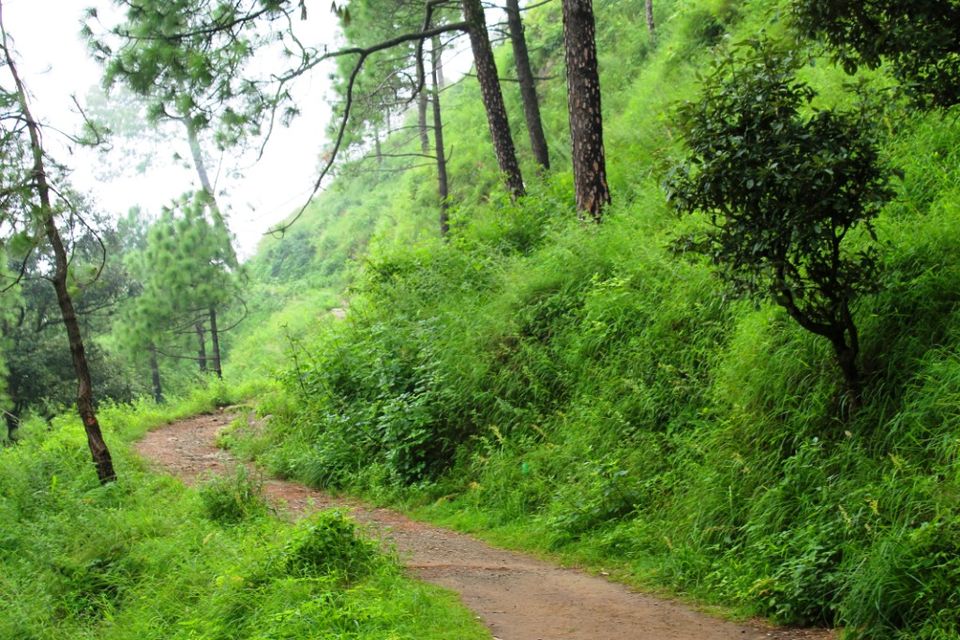 Photo of Kasauli – For that much needed peace of mind 41/93 by Rahul Shankhwar