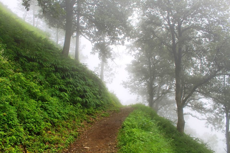 Photo of Kasauli – For that much needed peace of mind 43/93 by Rahul Shankhwar