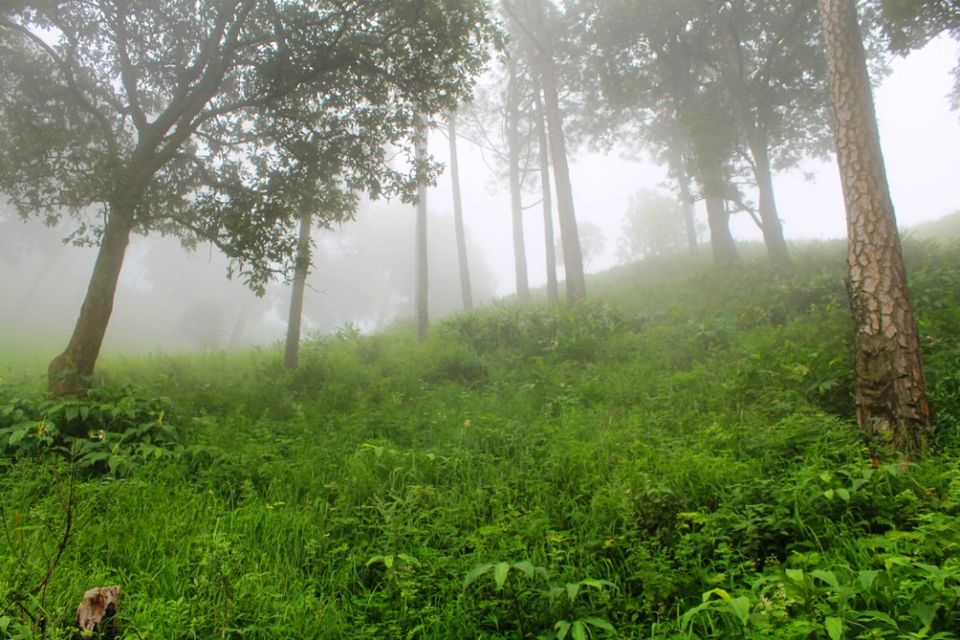 Photo of Kasauli – For that much needed peace of mind 44/93 by Rahul Shankhwar