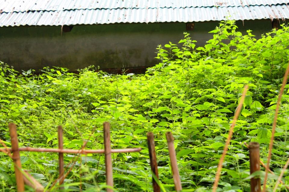 Photo of Kasauli – For that much needed peace of mind 46/93 by Rahul Shankhwar