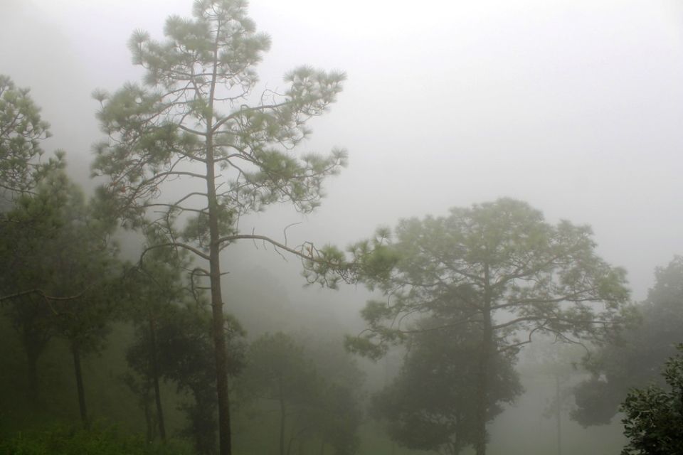 Photo of Kasauli – For that much needed peace of mind 47/93 by Rahul Shankhwar