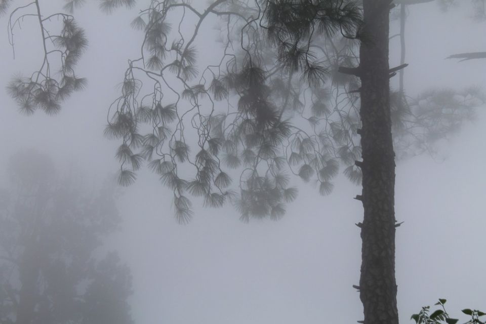 Photo of Kasauli – For that much needed peace of mind 48/93 by Rahul Shankhwar