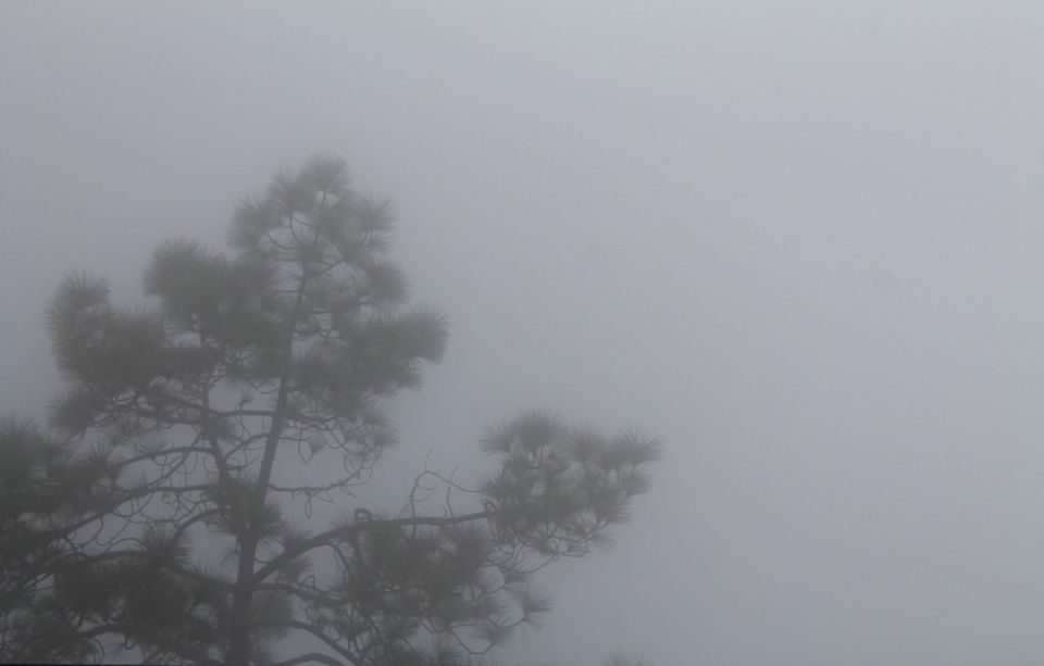 Photo of Kasauli – For that much needed peace of mind 52/93 by Rahul Shankhwar
