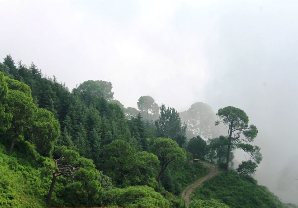 Photo of Kasauli – For that much needed peace of mind 66/93 by Rahul Shankhwar