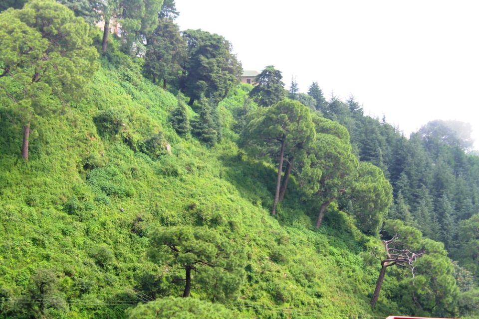 Photo of Kasauli – For that much needed peace of mind 67/93 by Rahul Shankhwar