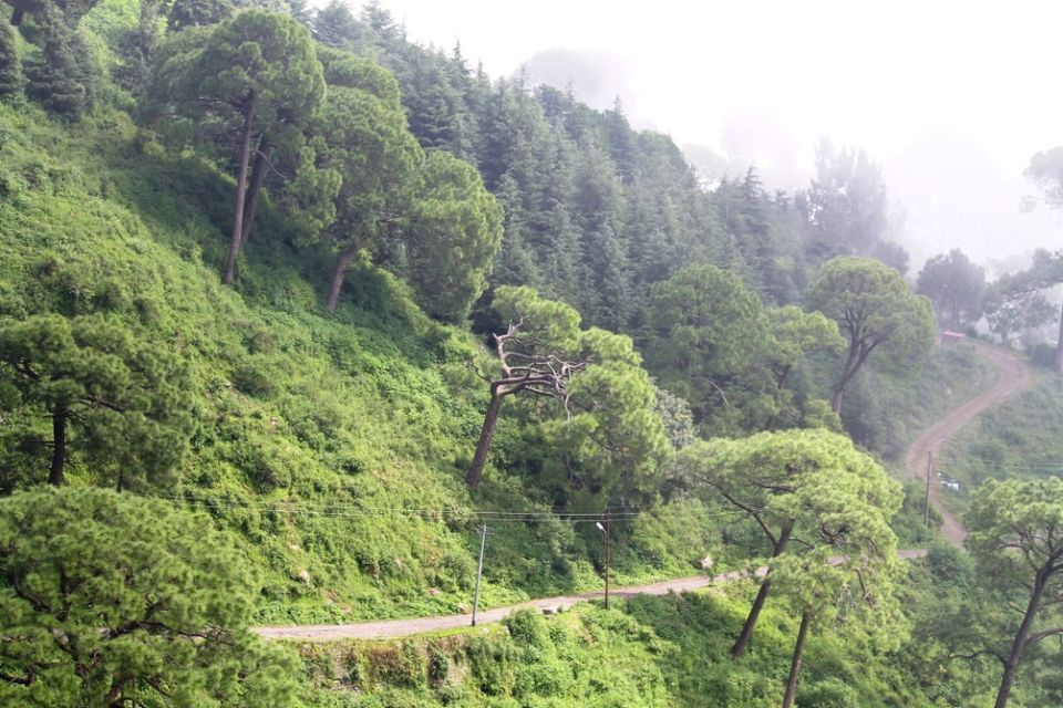 Photo of Kasauli – For that much needed peace of mind 69/93 by Rahul Shankhwar