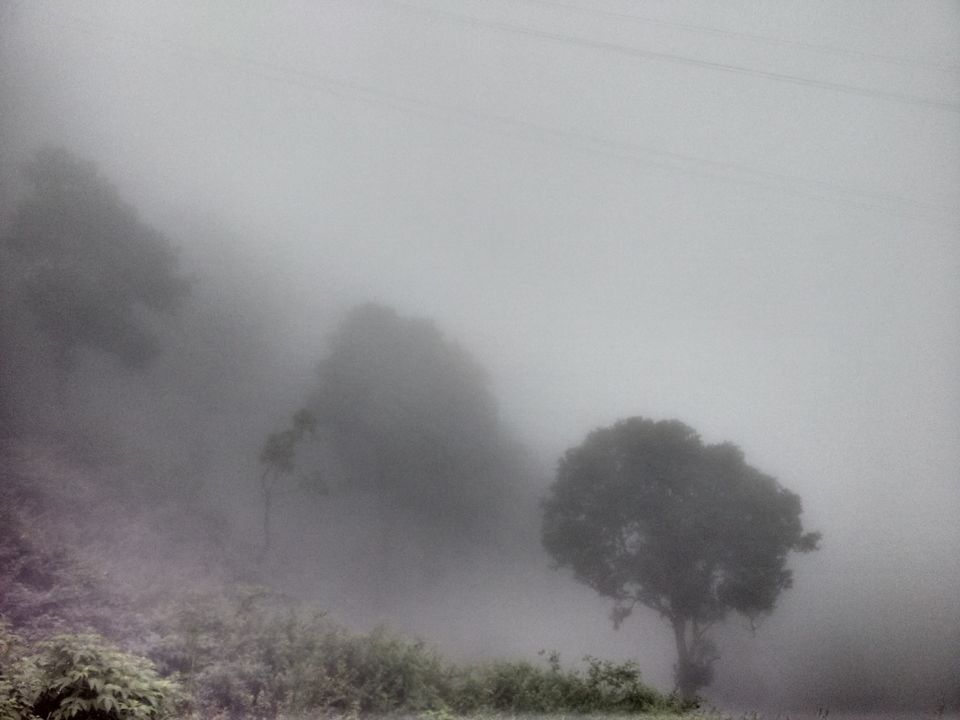 Photo of Kasauli – For that much needed peace of mind 73/93 by Rahul Shankhwar